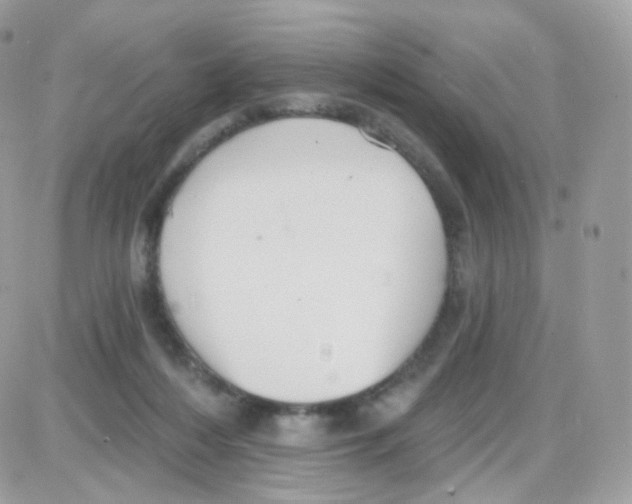 X0000087700216200706011753