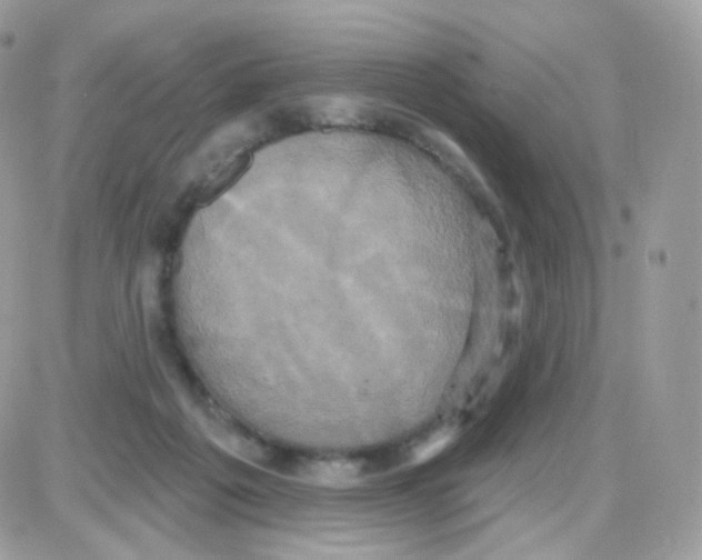 X0000087700217200706011753