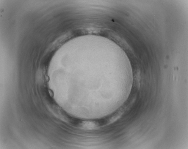 X0000087700218200706011753