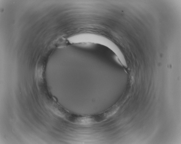 X0000087700219200706011753