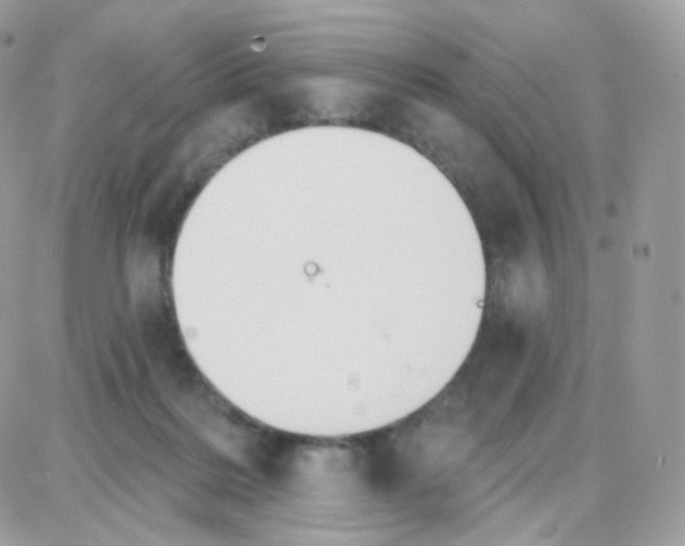 X0000087700220200706011753