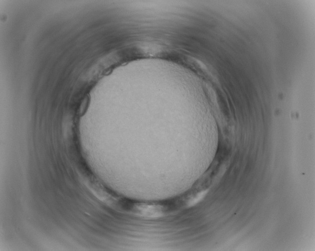 X0000087700221200706011753