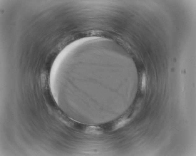 X0000087700222200706011753