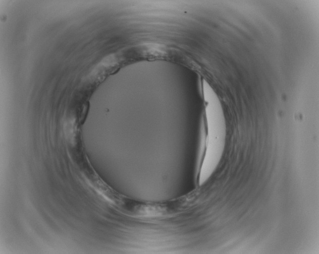 X0000087700223200706011753