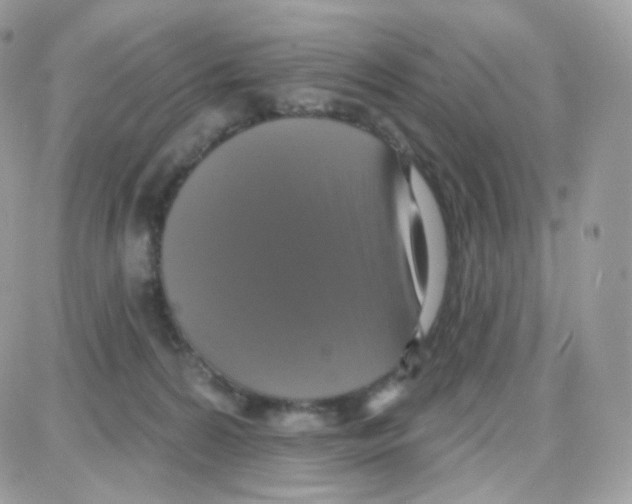 X0000087700224200706011753