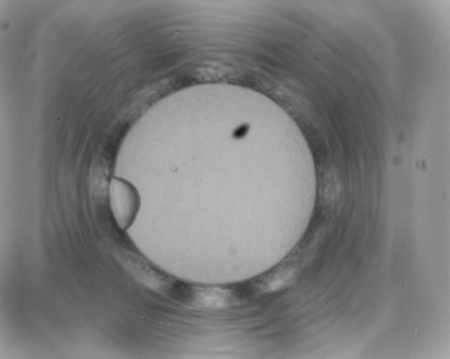 X0000087700226200706011753