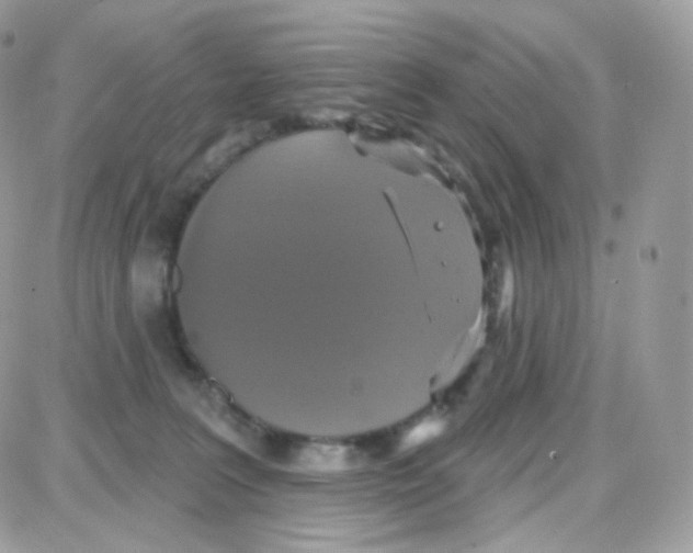 X0000087700227200706011753