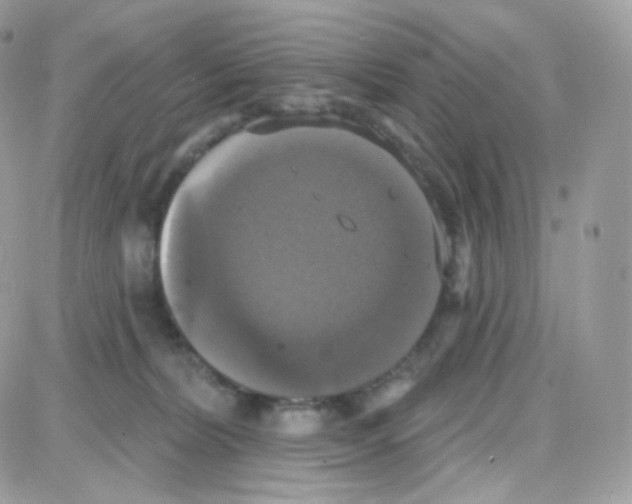 X0000087700228200706011753