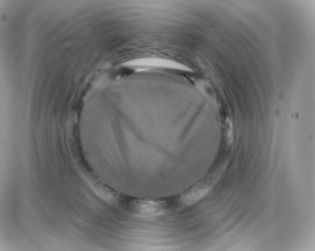 X0000087700229200706011753