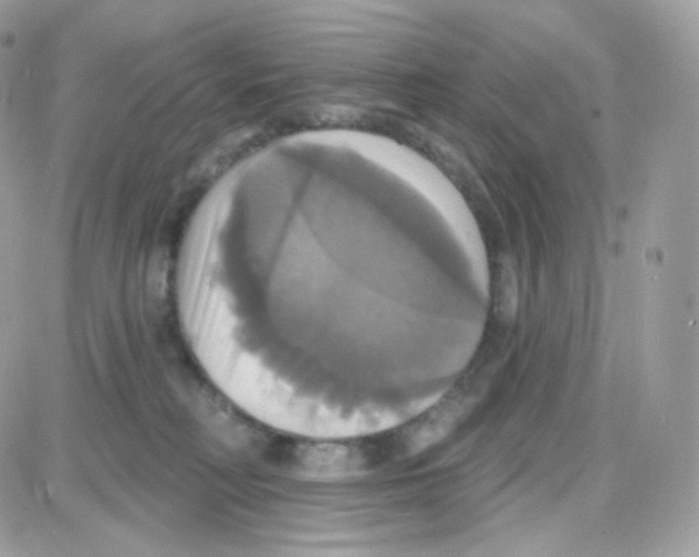 X0000087700230200706011753