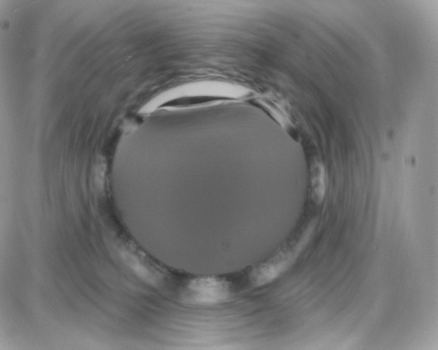 X0000087700231200706011753