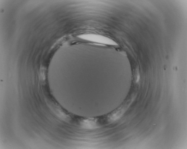 X0000087700232200706011752