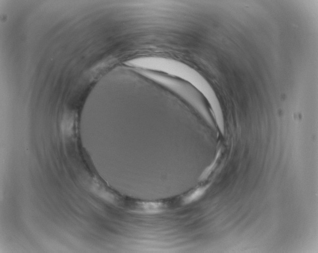 X0000087700233200706011752