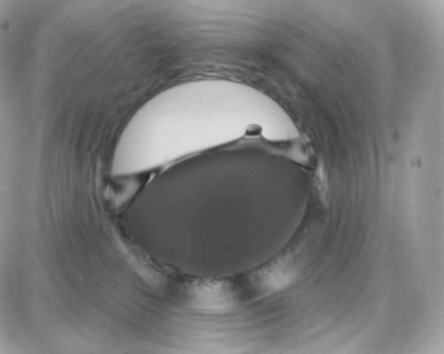 X0000087700235200706011752