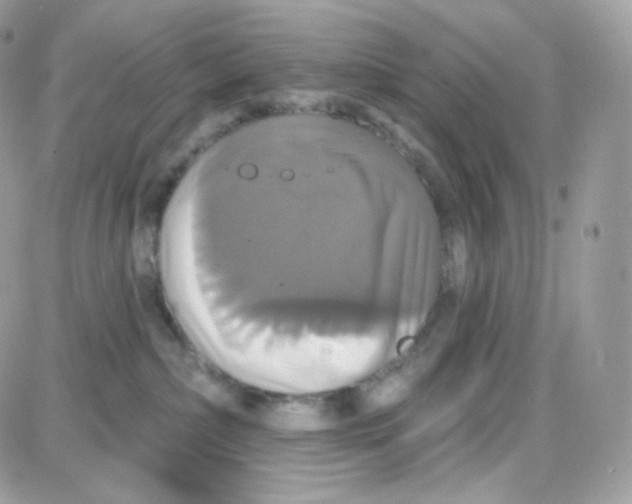 X0000087700236200706011752