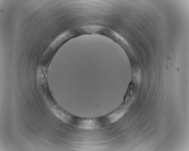 X0000087700237200706011752