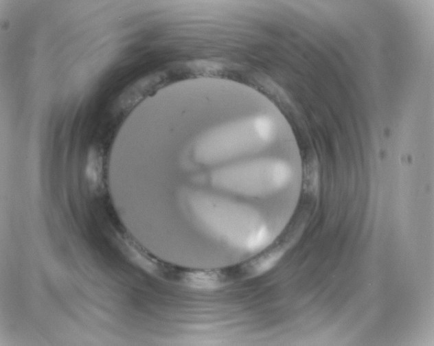 X0000087700238200706011752