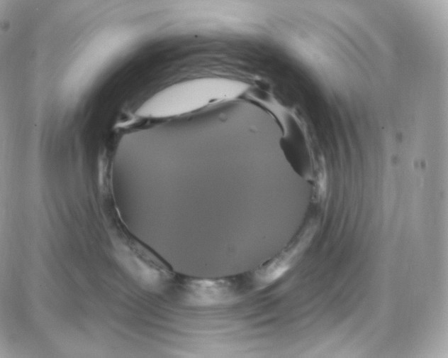 X0000087700239200706011752