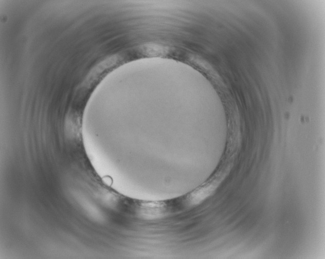 X0000087700240200706011752