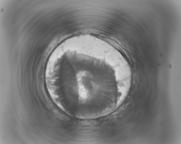 X0000087700241200706011752