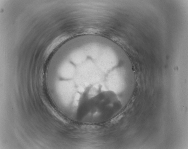 X0000087700242200706011752