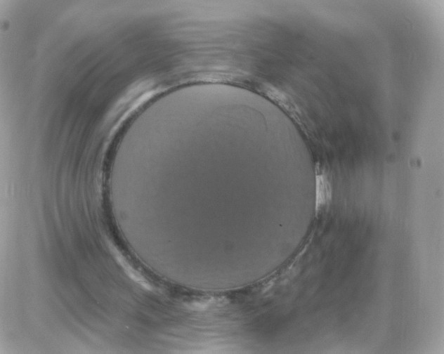 X0000087700243200706011752