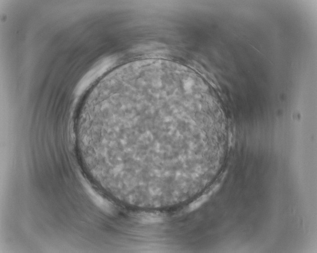 X0000087700245200706011752