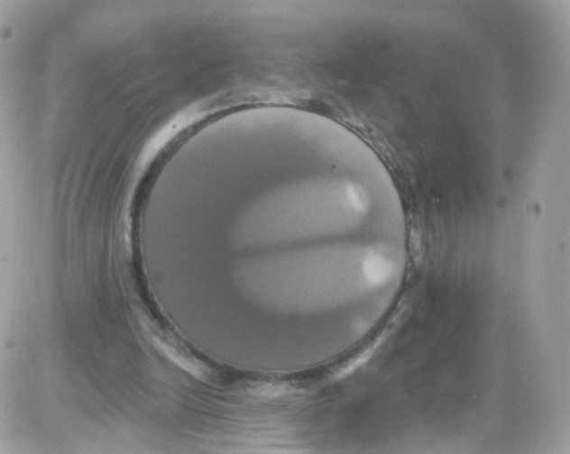 X0000087700246200706011752