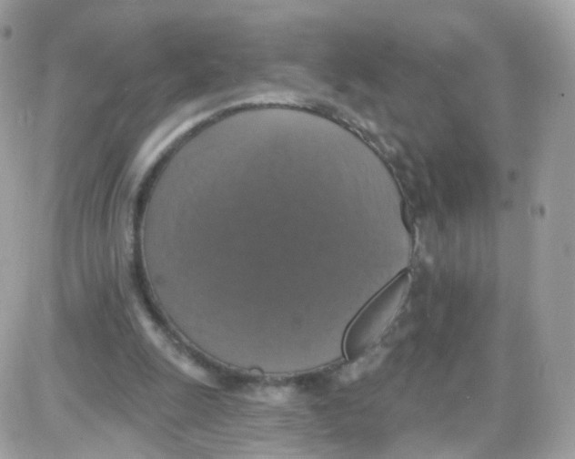 X0000087700247200706011752