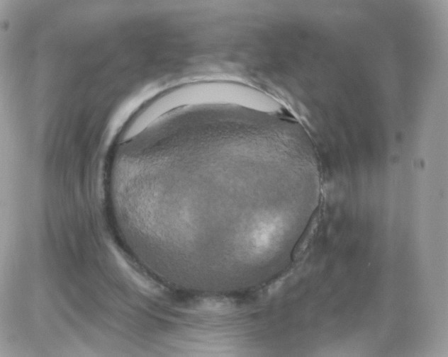 X0000087700248200706011752