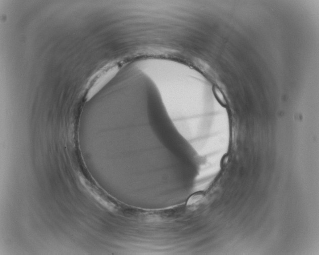 X0000087700249200706011752