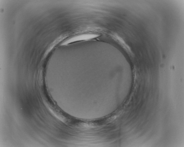 X0000087700250200706011752