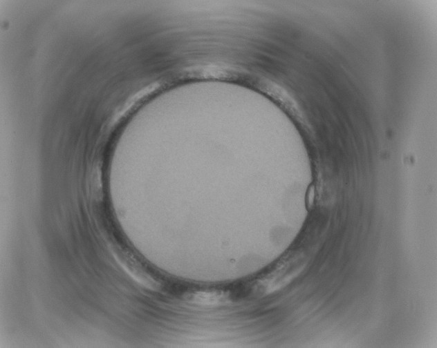 X0000087700251200706011752