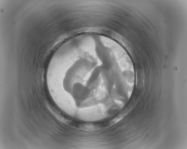 X0000087700253200706011752