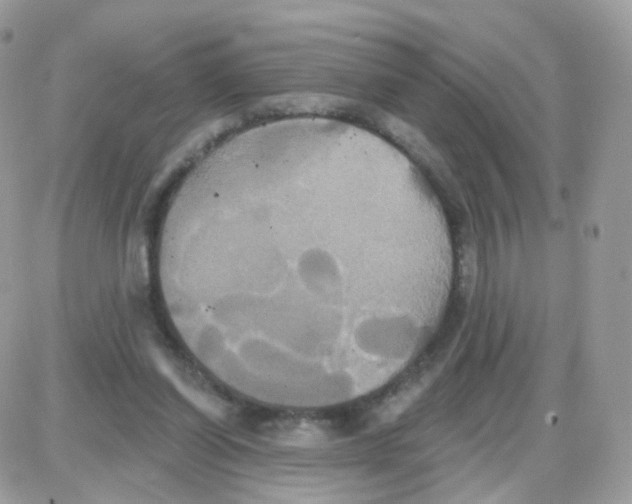 X0000087700254200706011752