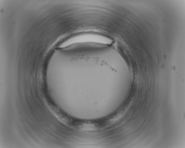 X0000087700256200706011752