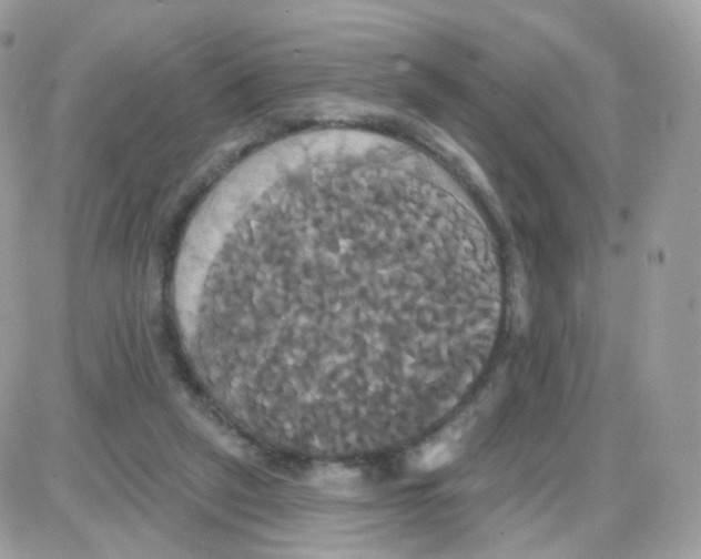 X0000087700257200706011752