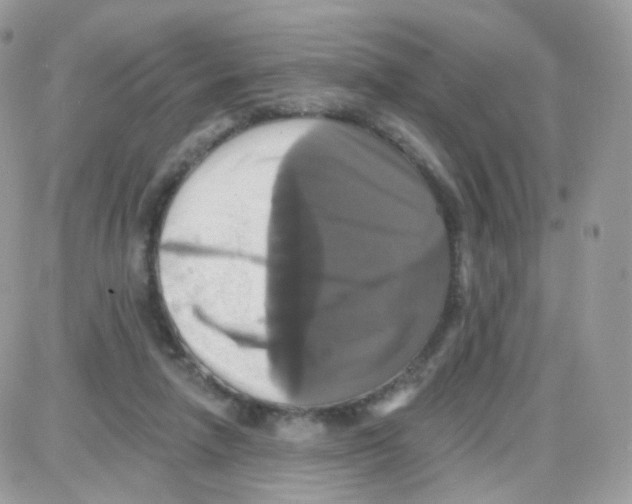 X0000087700258200706011752