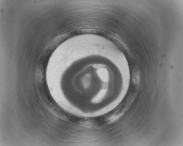 X0000087700259200706011752