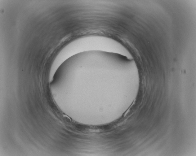 X0000087700260200706011752