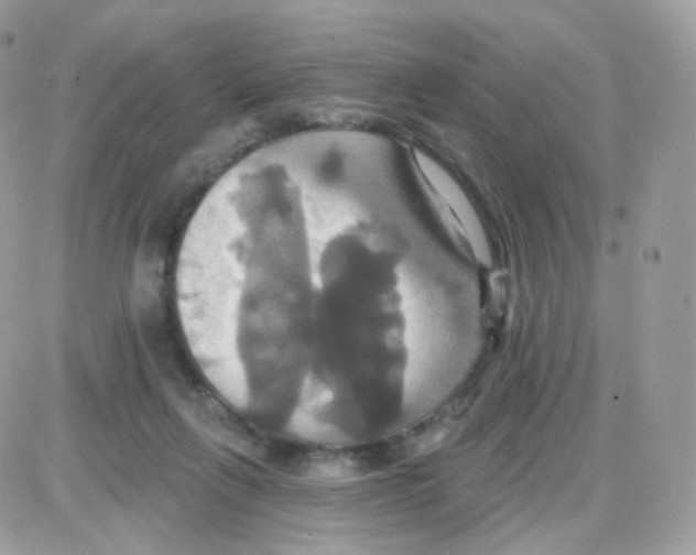 X0000087700263200706011752