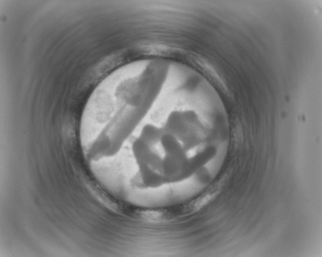 X0000087700265200706011752