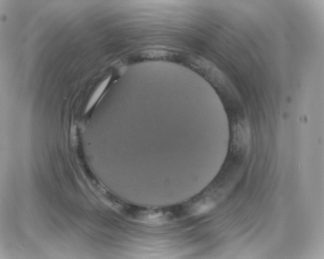 X0000087700267200706011752