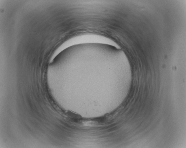 X0000087700268200706011752