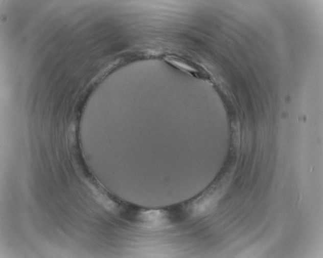 X0000087700269200706011752