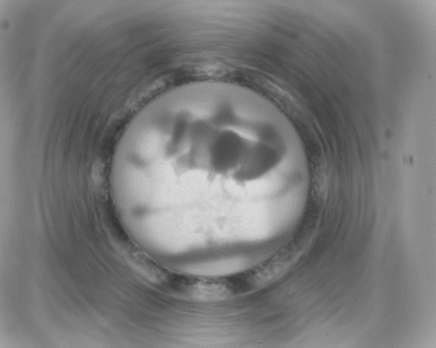 X0000087700270200706011752