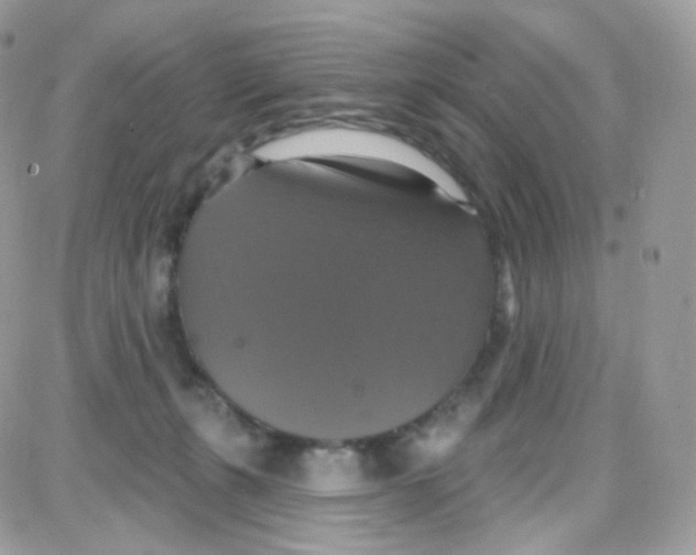 X0000087700271200706011752