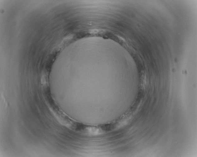 X0000087700272200706011752