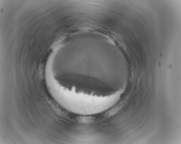 X0000087700273200706011752