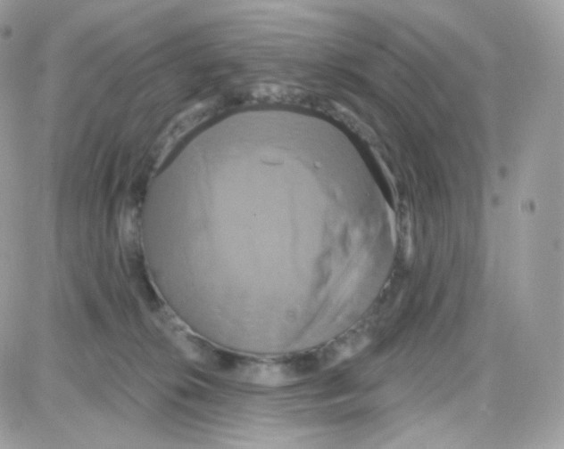 X0000087700276200706011752